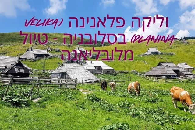 וליקה פלאנינה (Velika Planina) בסלובניה - טיול מלובליאנה credit to getyourguide.com