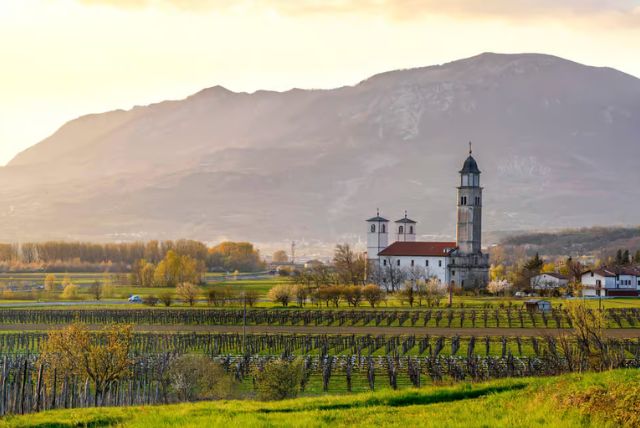 עמק ויפאבה בסלובניה - Vipava Valley credit to getyourguide.com