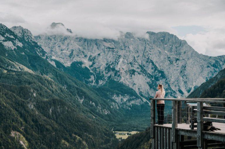 Summer alpine countryside landscape with high mountains and farms in the forest glade logar valley logarska dolina from the panoramic road solcava slovenia